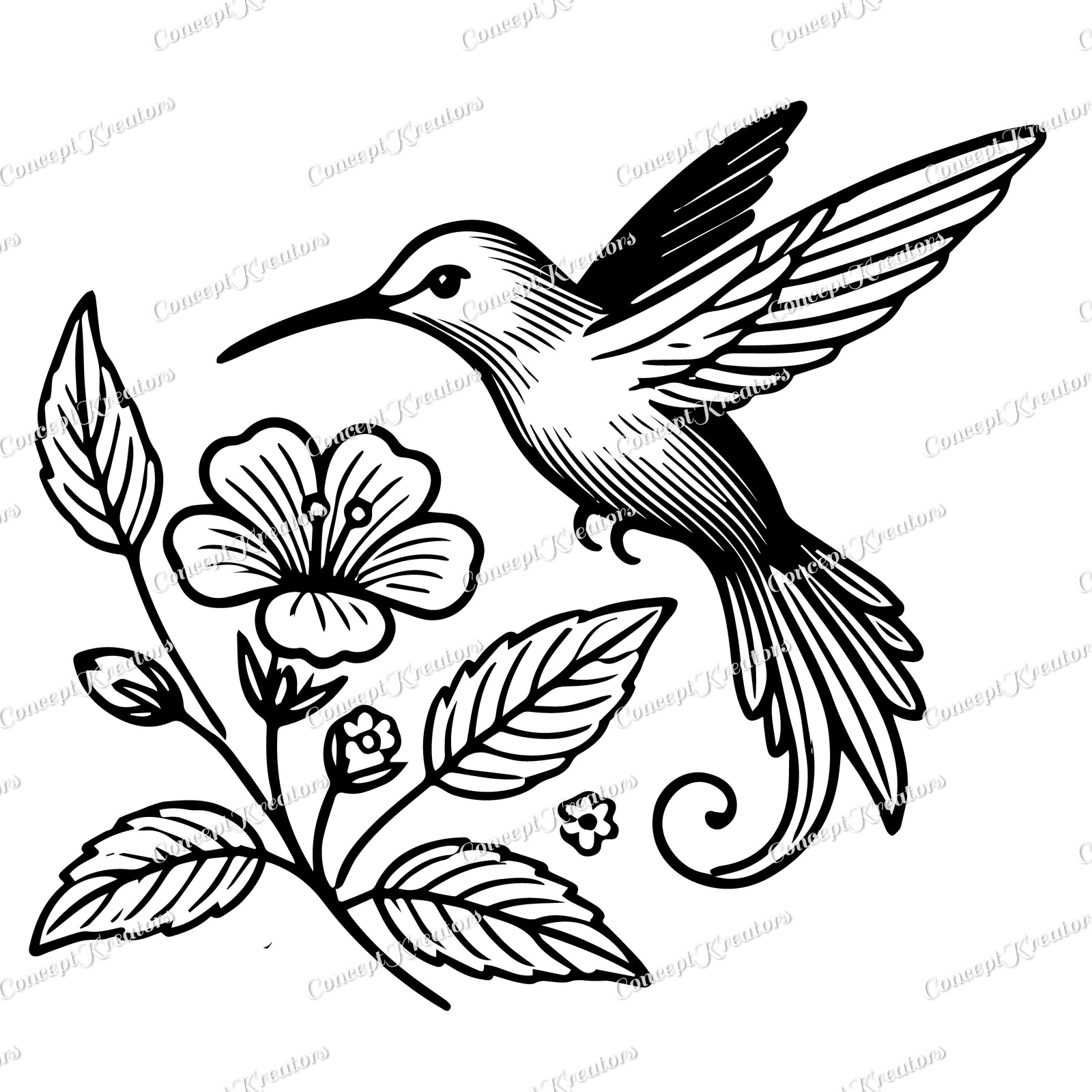 Hummingbird and Flower