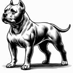 Strong and Confident Pitbull Line Art - SVG, PNG, JPG Bundle for Laser Engraving and Crafting