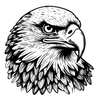 Majestic Eagle Head Vector Art